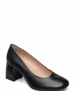 Heeled shoes Sales Store 7 Wonders I-8602 ISEO Pumps For Women Black